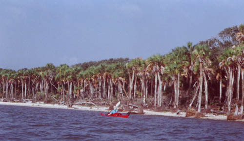 A photo of St. Vincent Island