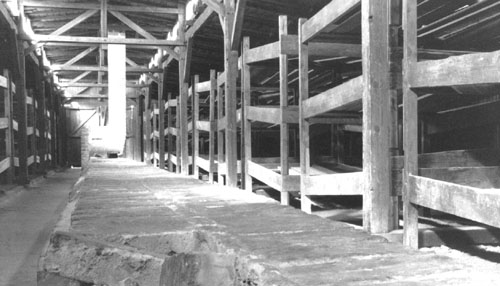 A photo of beds in the barracks in Birkenau